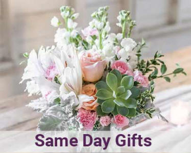 Same Day Gifts - Sympathy Gifts Same Day Delivery