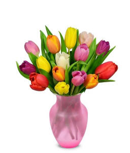 Tulips For Mom On Mothers Day 49.99