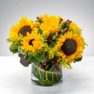 Sunflower Sunset