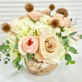 Rose Gold