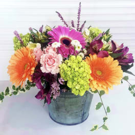 Pretty Gerbera Flowers