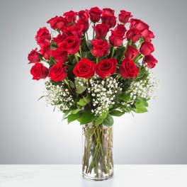 Lon Stem Roses For Queen Creek AZ Delivery