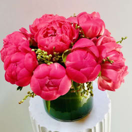 Amazing Peonies