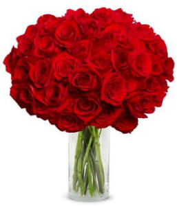 50 Long Stemmed Roses
