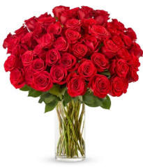 50 stunning birthday flowers