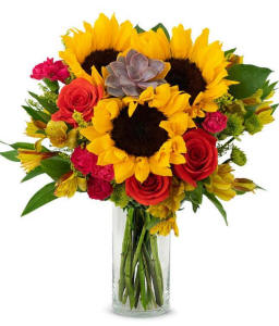 Sunflower and succulent bouquet for delivery in San Francisco
