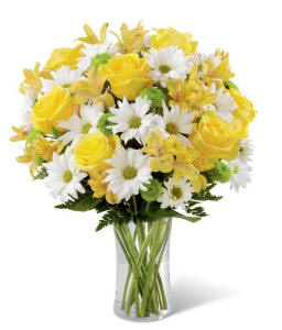 Yellow roses and bright daisies for San Francisco flower delivery