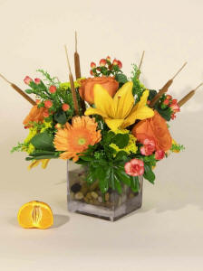 A Burst of Sunshine