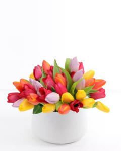 AMAZING TULIPS-DELIVERY: A HEARTY COLOR ASSORTMENT OF TULIPS ARE ARRANGED INTO A STYLISH, WHITE CERAMIC.-AMAZING TULIPS
