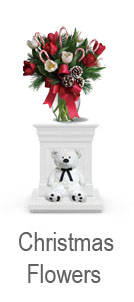 Christmas Flowers