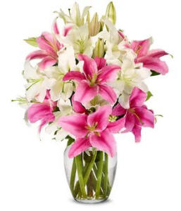 Easter Pink & White Lilies