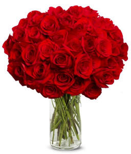 50 Red Valentines Day Roses