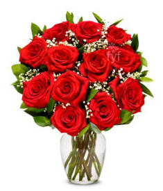 One Dozen Long Stemmed Roses For Valentines Day Cheap Delivery To Fitchburg