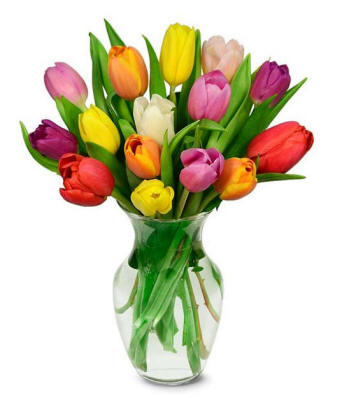 Rainbow Tulip Bouquet