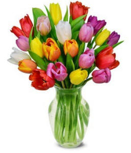 Rainbow Tulip Bouquet