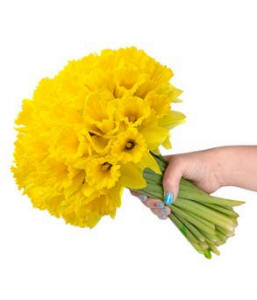 A bouquet of spring Daffodils $44.99