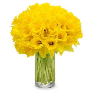 Springtime Daffodil Bouquet $44.99