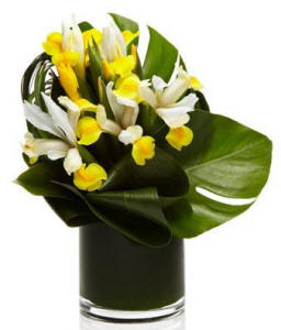 Daffodil Flower Bouquet $99.99